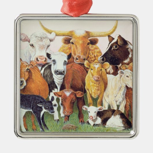 Een verrassende vreemdeling metalen ornament (Voorkant)