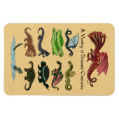 Een verscheidenheid aan draconische creaties magneet (Horizontaal)