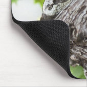 Een vertakking van een zeer oude wijngaard muismat (Hoek)