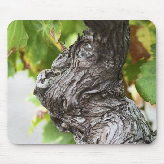 Een vertakking van een zeer oude wijngaard muismat (Voorkant)