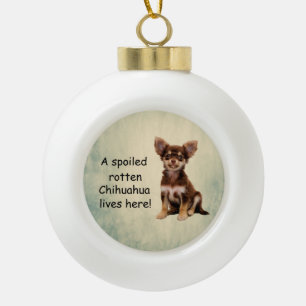 Een verwende bedorven chihuahua hond woont hier keramische bal ornament