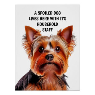 EEN VERWENDE HOND WONEN HIER MET HET HUISHOUDELIJK PERFECT POSTER