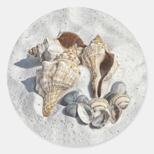 Een verzameling schelpen op zand ronde sticker