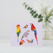 Een verzameling vogels briefkaart (Staand voorkant)