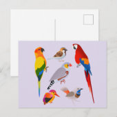 Een verzameling vogels briefkaart (Voorkant / Achterkant)