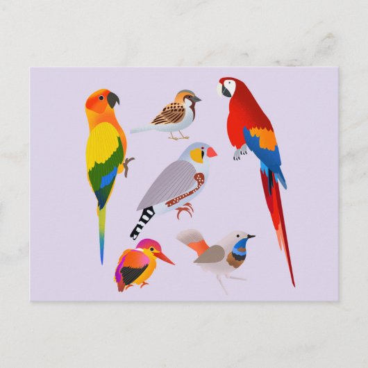 Een verzameling vogels briefkaart (Voorkant)