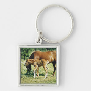 Een veulens en een paard in een weide. sleutelhanger