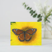 Een vicekoningvlinder | Limenitis Archippus Briefkaart (Staand voorkant)