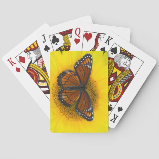 Een vicekoningvlinder | Limenitis Archippus Pokerkaarten (Achterkant)