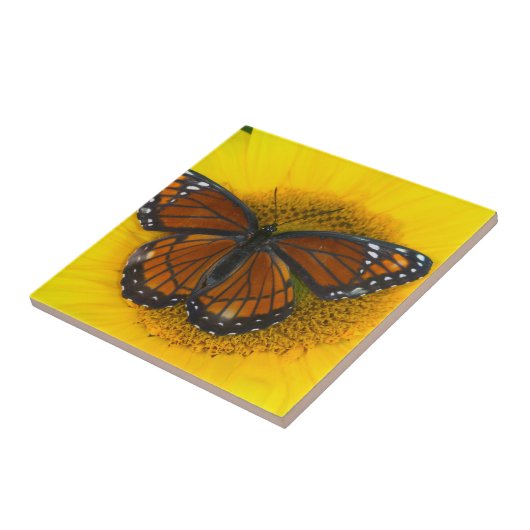 Een Viceroy Butterfly | Limenitis Archippus Tegeltje (Zijkant)