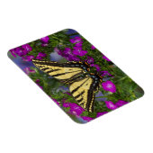 Een Viceroy Butterfly op Donk Pink Flowers Magneet (Rechterzijde)