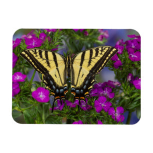 Een Viceroy Butterfly op Donk Pink Flowers Magneet