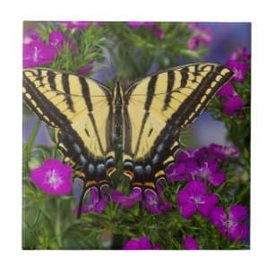 Een Viceroy Butterfly op Donk Pink Flowers Tegeltje