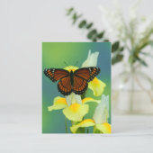 Een Viceroy Butterfly op een geel Japans Iris Briefkaart (Staand voorkant)