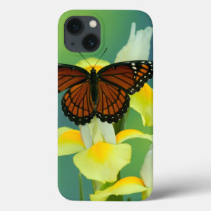 Een Viceroy Butterfly op een geel Japans Iris Case-Mate iPhone Case