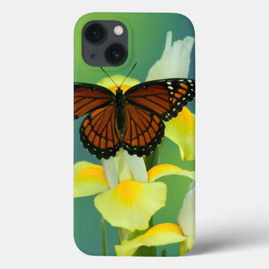 Een Viceroy Butterfly op een geel Japans Iris Case-Mate iPhone Case (Achterkant)