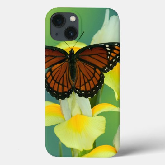 Een Viceroy Butterfly op een geel Japans Iris Case-Mate iPhone Case (Achterkant)