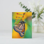 Een Viceroy Butterfly op Flowers Briefkaart (Staand voorkant)