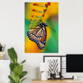 Een Viceroy Butterfly op Flowers Poster (Thuiskantoor)
