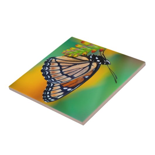 Een Viceroy Butterfly op Flowers Tegeltje (Zijkant)