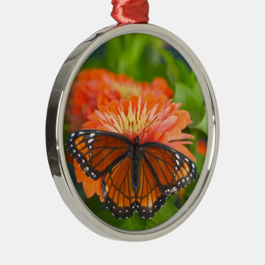 Een Viceroy Butterfly op Oranje Zinnias Metalen Ornament (Rechts)