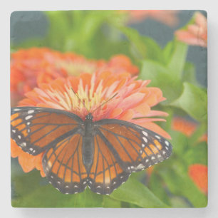 Een Viceroy Butterfly op Oranje Zinnias Stenen Onderzetter