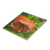 Een Viceroy Butterfly op Oranje Zinnias Tegeltje (Zijkant)