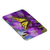 Een Viceroy Butterfly op Paarse glads Magneet (Rechterzijde)