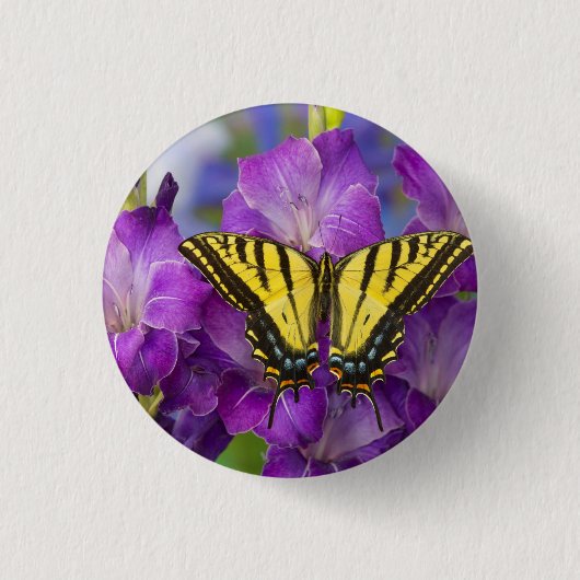 Een Viceroy Butterfly op Paarse glads Ronde Button 3,2 Cm (Voorkant)