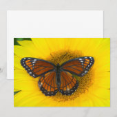 Een Viceroy vlinder | Limenitis Archippus Bedankkaart (Voorkant / Achterkant)