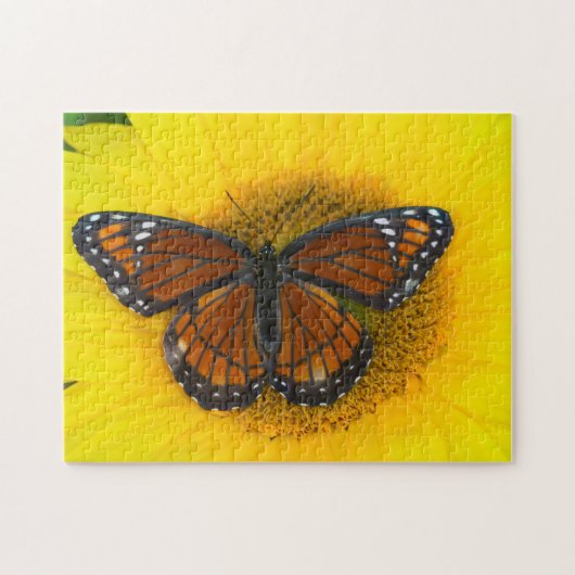 Een Viceroy vlinder | Limenitis Archippus Legpuzzel (Horizontaal)