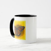Een Viceroy-vlinder | Limenitis Archippus Mok (Voorkant links)