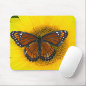 Een Viceroy vlinder | Limenitis Archippus Muismat (Met muis)