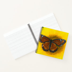 Een Viceroy-vlinder Limenitis Archippus Notitieboek