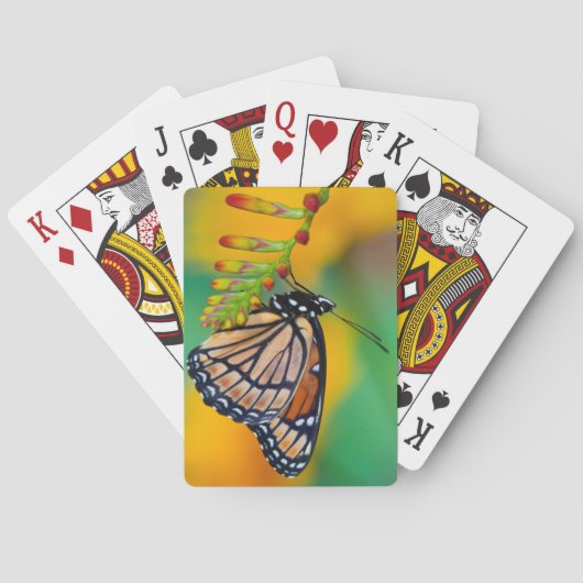 Een Viceroy-vlinder op bloemen Pokerkaarten (Achterkant)
