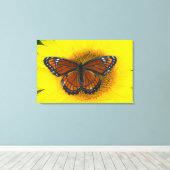 Een Viceroyvlinder | Limenitis Archippus Canvas Afdruk (Insitu (Houten vloer))