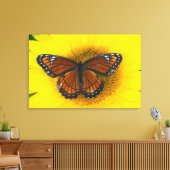 Een Viceroyvlinder | Limenitis Archippus Canvas Afdruk (Insitu (Woonkamer))