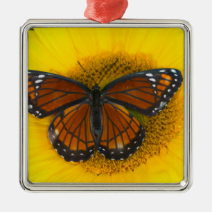 Een Viceroyvlinder Limenitis Archippus Metalen Ornament