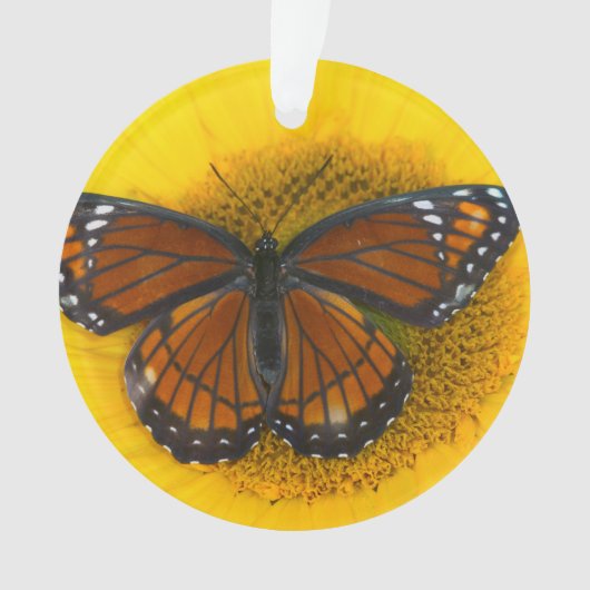 Een Viceroyvlinder | Limenitis Archippus Ornament (voorkant)
