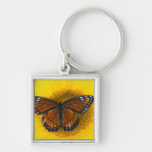 Een Viceroyvlinder | Limenitis Archippus Sleutelhanger (Voorkant)