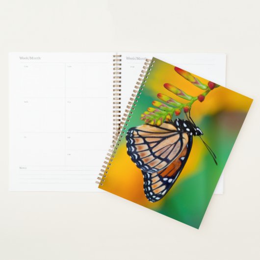 Een Viceroyvlinder op Bloemen Planner (Display)