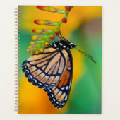 Een Viceroyvlinder op Bloemen Planner (Voorkant)