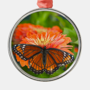 Een Viceroyvlinder op oranje Zinnia's Metalen Ornament