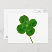 Een vier lederen klaver briefkaart (Voorkant / Achterkant)