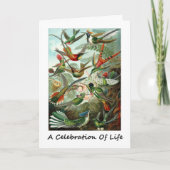 Een viering van het leven kolibries Ernest Haeckel Kaart (Voorkant)