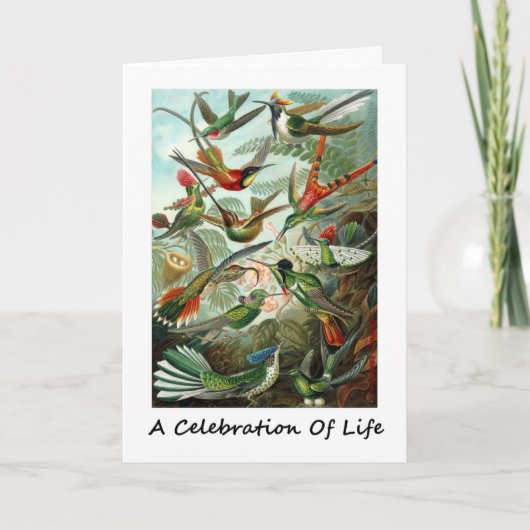Een viering van het leven kolibries Ernest Haeckel Kaart (Voorkant)