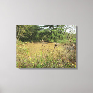 Een vijver in de bossen Fotografie wandkunst Canvas Afdruk