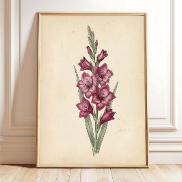 een Vintage Botanische Gladiolus Kunstprint Poster