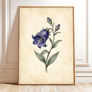 een Vintage Botanische Kunstprint Poster