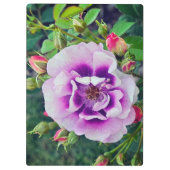Een violet roos klembord (Achterkant)